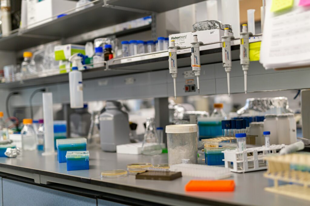lab